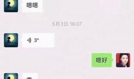 吃瓜网红聊天记录合集,网红聊天记录大揭秘